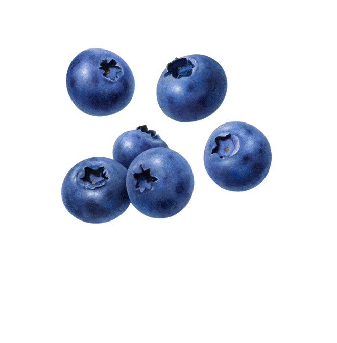 Blueberries protein water