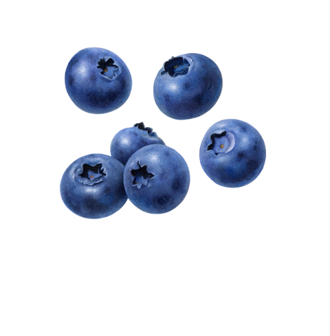 Blueberries protein water